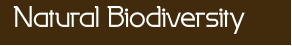 Natural Biodiversity